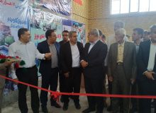 افتتاح کارگاه سورتینگ و بسته‌بندی مویز دشمن‌زیاری با اعتبار ۲۰ میلیارد ریال