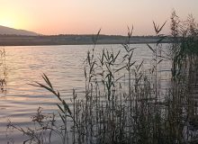 ممنوعیت برگزاری تورهای گردشگری و آفرودی بدون مجوز در تالاب‌های ارژن و هفت‌برم و منطقه حفاظت شده مله‌گاله